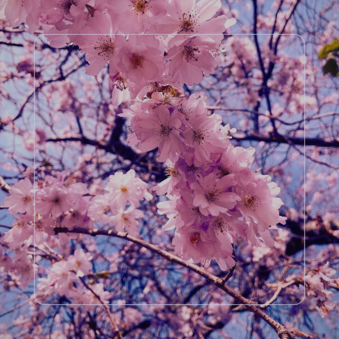 Comment j&rsquo;ai surmonté mes obstacles ?