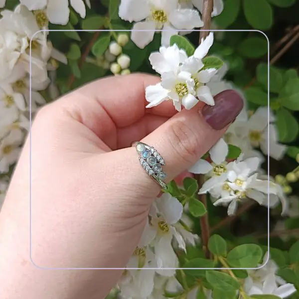 Bague Réglable labradorite
